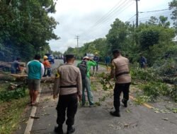 Pohon Tumbang Menghalangi Lalulintas Jalan Raya, Polsek Gunung Kijang Turun Tangan