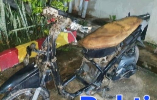 Motor curian