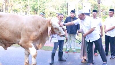 Kapolda Kepri Irjen. Pol. Drs. Yan Fitri Halimansyah, M.H