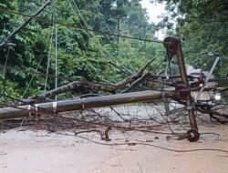 Sat Samapta Polresta Barelang dan Petugas PLN Evakuasi Pohon Tumbang dan Tiang Listrik
