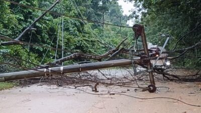 Sat Samapta Polresta Barelang dan Petugas PLN Evakuasi Pohon Tumbang dan Tiang Listrik