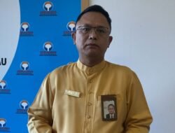 Ombudsman Kepri Minta Balai Penegakan Hukum Lingkungan Hidup dan Kehutanan Bertindak atas Perusakan Hutan