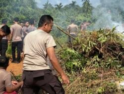 Polres Natuna Gelar Gotong Royong Perluas Lahan Pertanian, Dukung Ketahanan Pangan Nasional