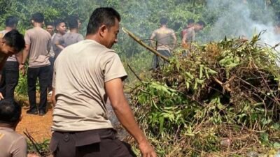 Polres Natuna Gelar Gotong Royong Perluas Lahan Pertanian, Dukung Ketahanan Pangan Nasional