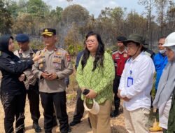 Fenomena El Nino, BP Batam Siapkan Langkah Antisipatif Tangani Suplai Air Bersih