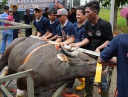 Sembelih 33 Hewan Kurban, Tingkatkan Kepedulian Sosial di Lingkungan Pegawai