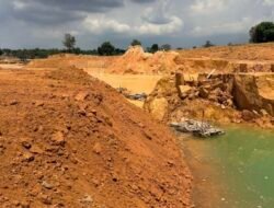 BP Batam Lakukan Pemulihan Lingkungan di Area Bekas Lahan Tambang Pasir Ilegal