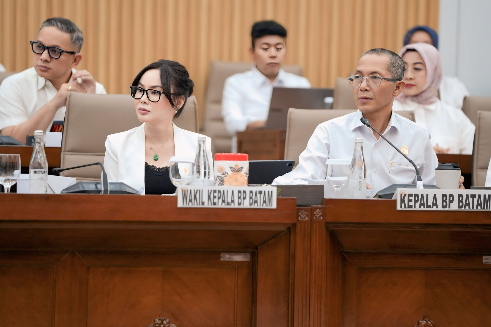 Rdp komisi VI DPR RI