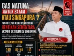 Projo Kepri Desak Pemerintah Hentikan Sementara Ekspor Gas Bumi ke Singapura